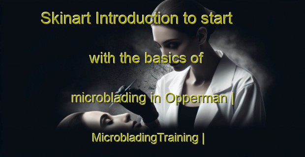 Skinart Introduction to start with the basics of microblading in Opperman | MicrobladingTraining | MicrobladingClasses | SkinartTraining-United States